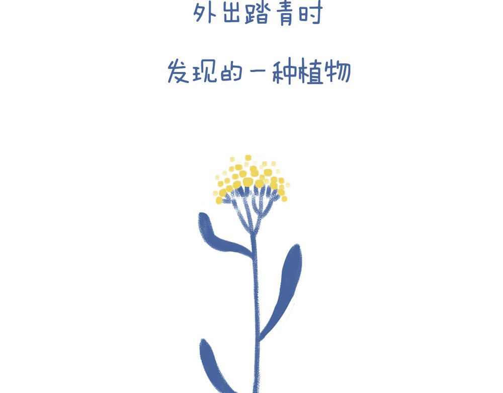 未来总会有惊喜 05鼠曲草 第3页