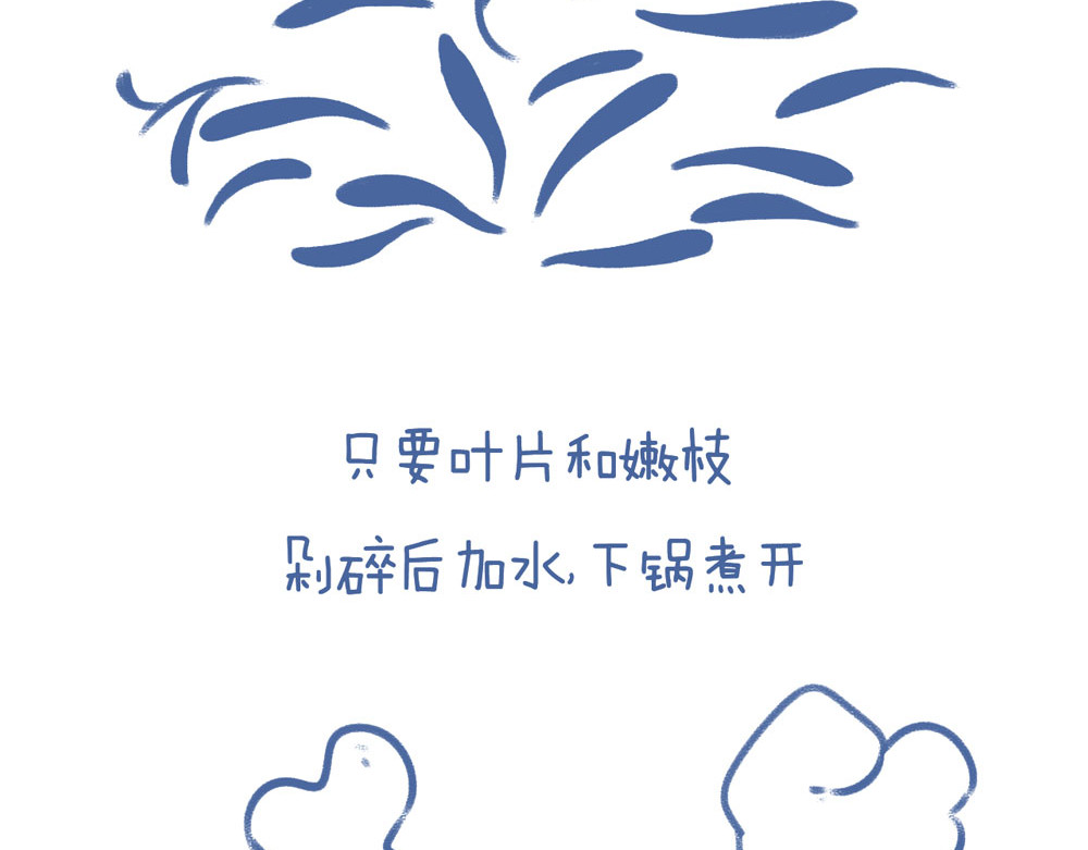 未来总会有惊喜 05鼠曲草 第7页
