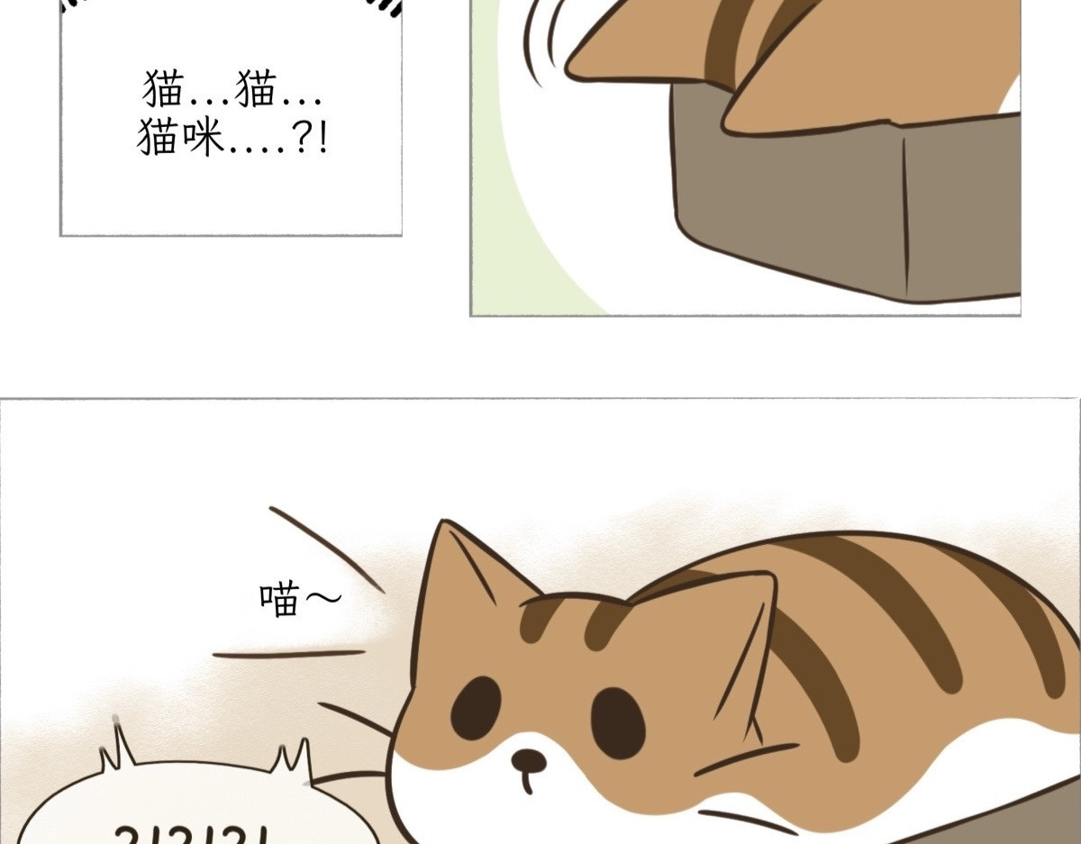 吐司猫咪POUNDCAT 第7页
