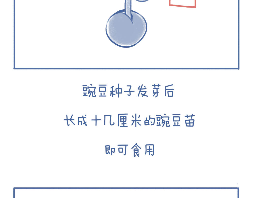 未来总会有惊喜 06豌 豆 第3页
