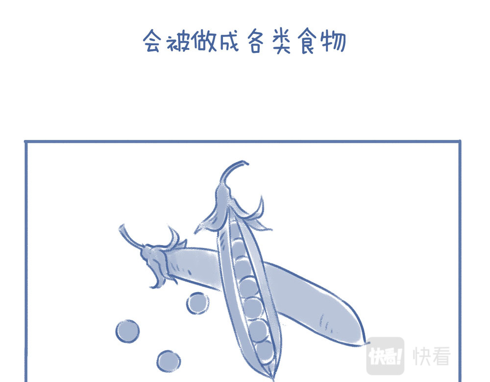 未来总会有惊喜 06豌 豆 第7页