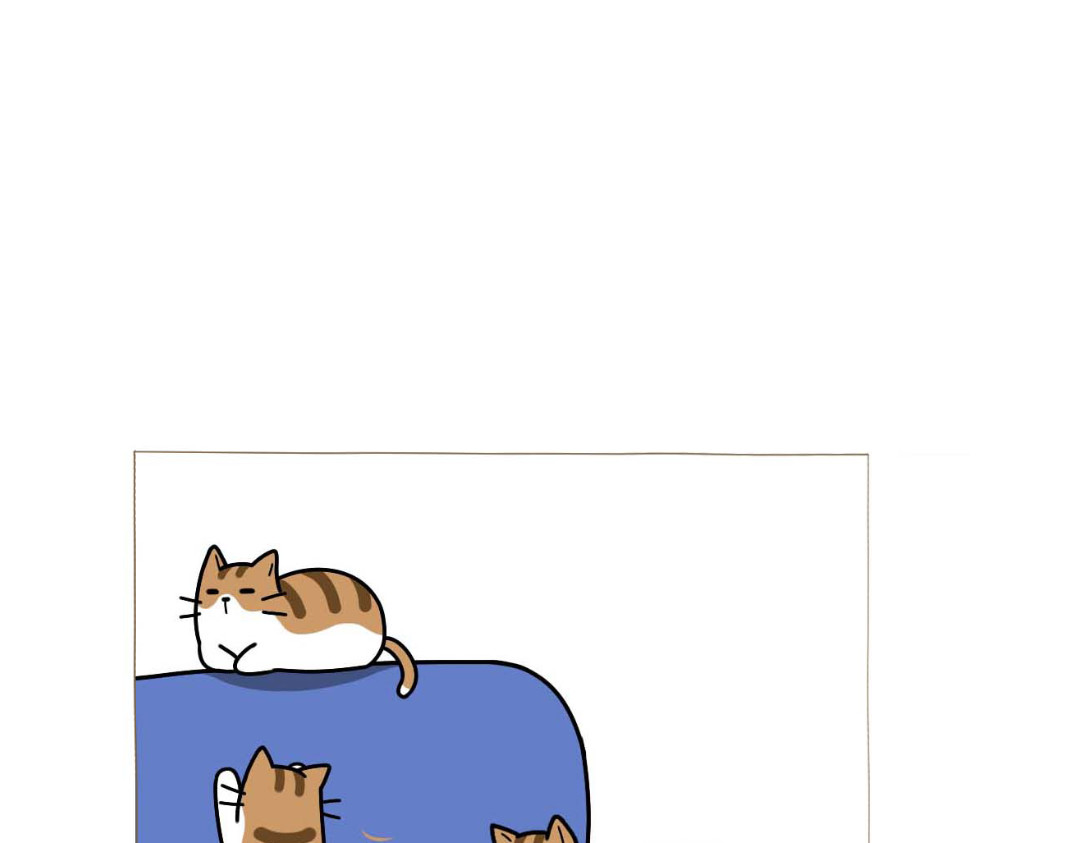 吐司猫咪POUNDCAT 和热可可一起的新生活 第1页