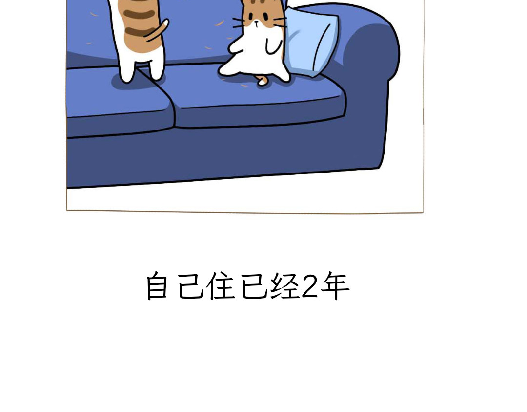 吐司猫咪POUNDCAT 和热可可一起的新生活 第2页