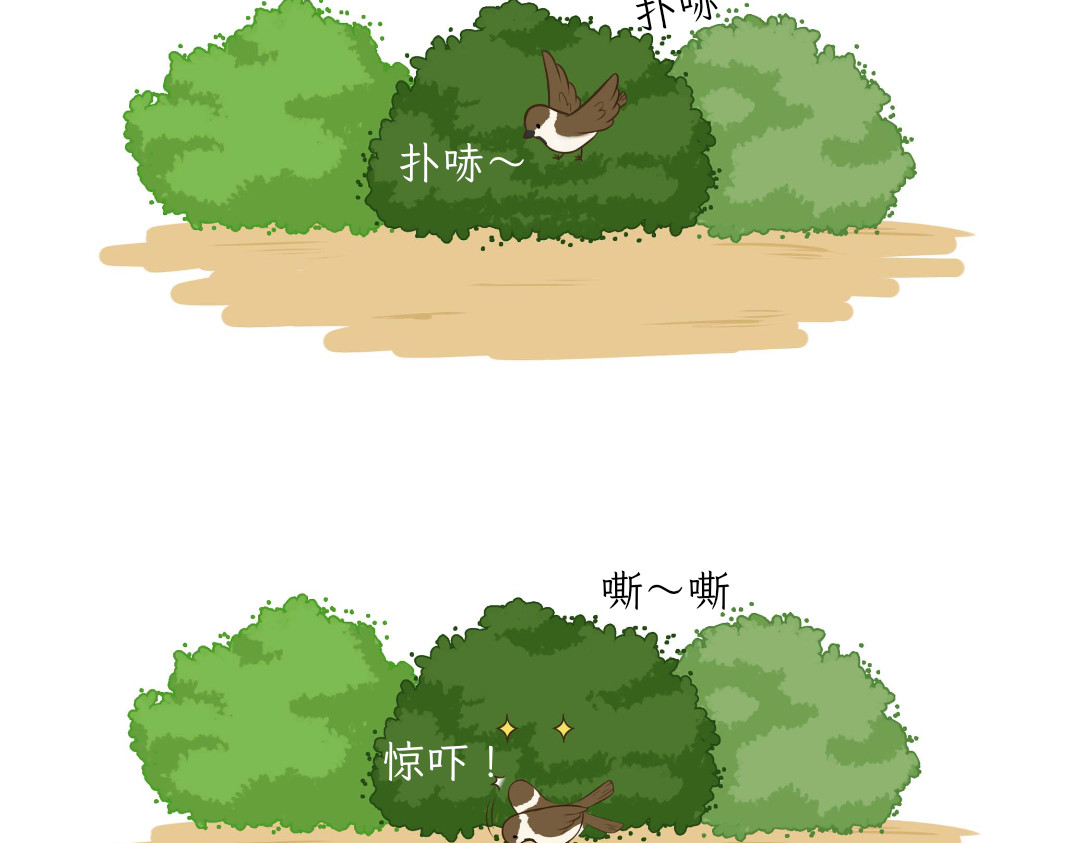 吐司猫咪POUNDCAT 和热可可一起的新生活 第14页