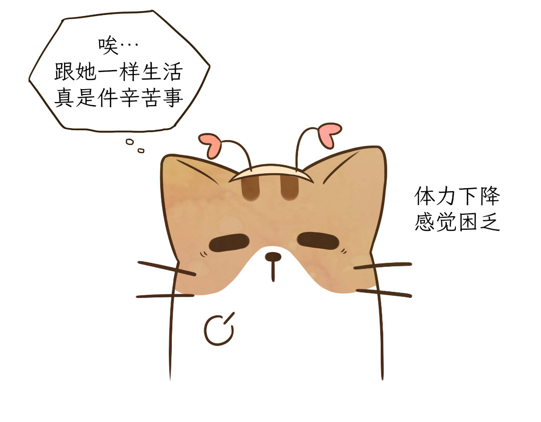 吐司猫咪POUNDCAT 和热可可一起的新生活 第31页