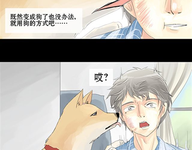 一条狗 一条狗#6 身体换回来了 第3页
