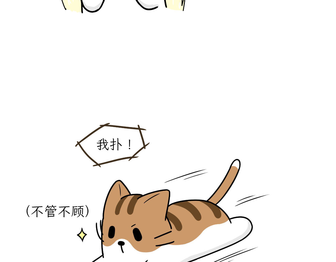 吐司猫咪POUNDCAT 热可可的爱好 第24页