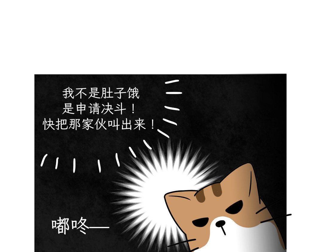 吐司猫咪POUNDCAT 热可可的爱好 第29页