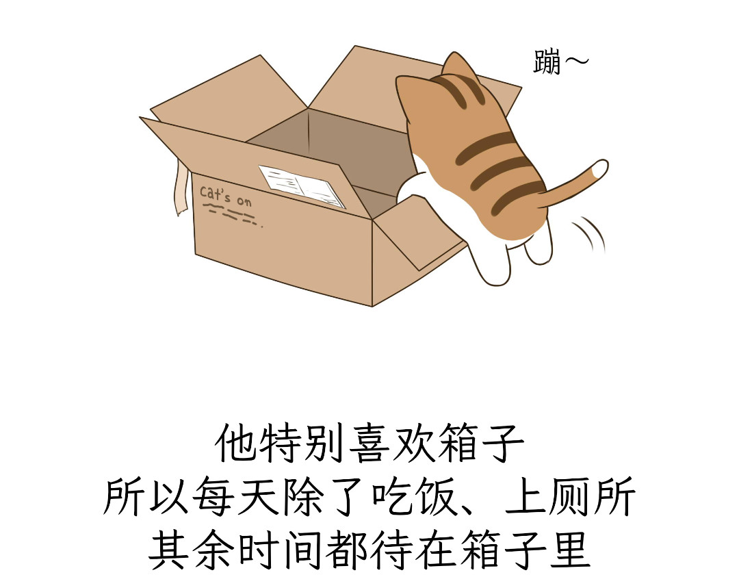 吐司猫咪POUNDCAT 热可可的爱好 第7页