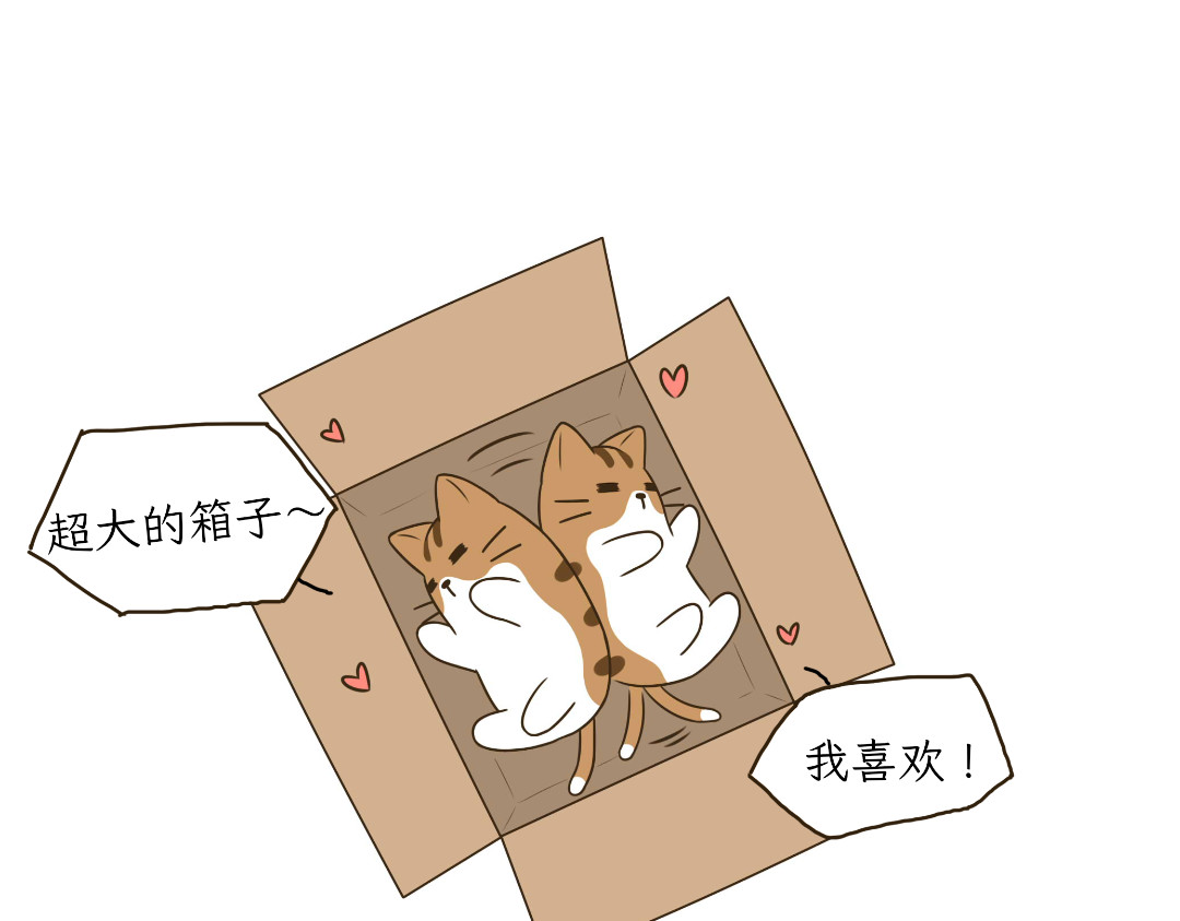 吐司猫咪POUNDCAT 热可可的爱好 第8页