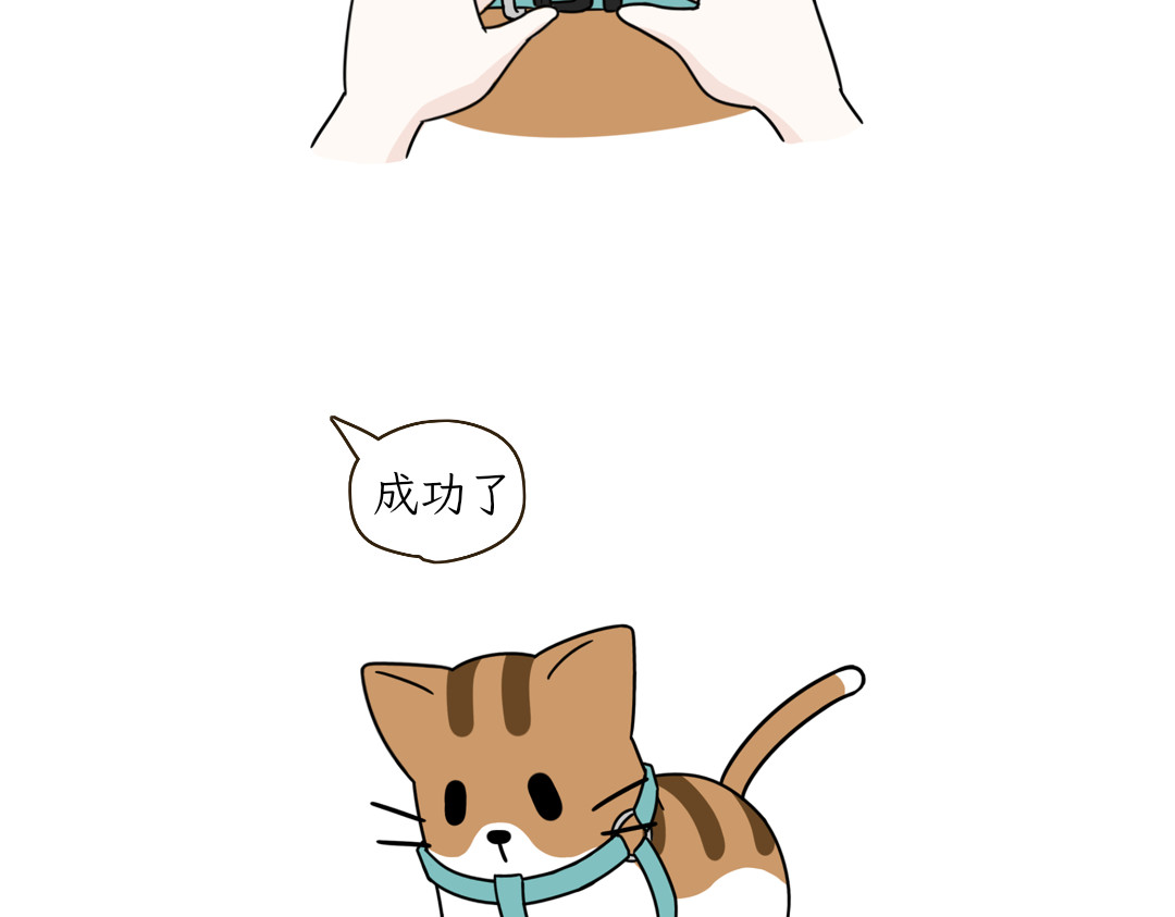 吐司猫咪POUNDCAT 铲shi官的恶趣味 第10页