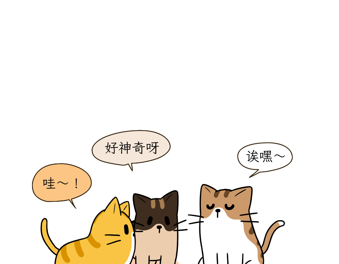 吐司猫咪POUNDCAT 多猫家庭的日常 第12页