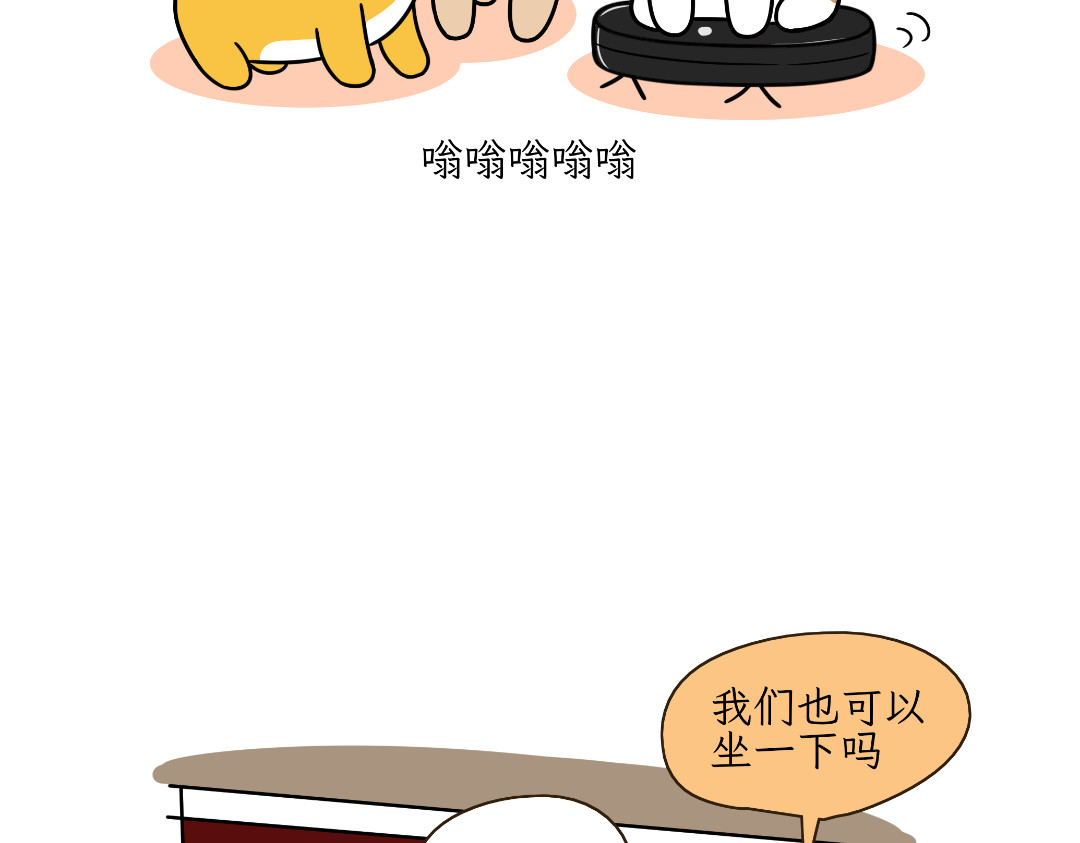 吐司猫咪POUNDCAT 多猫家庭的日常 第13页