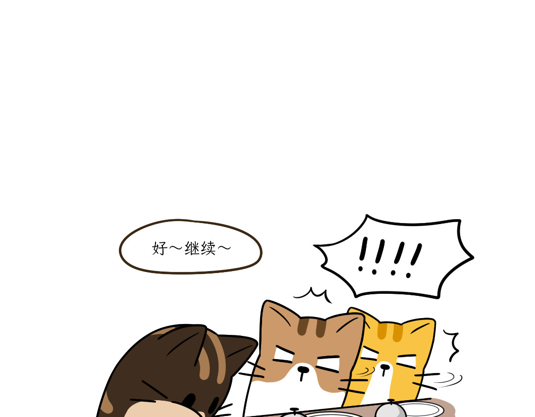 吐司猫咪POUNDCAT 多猫家庭的日常 第25页