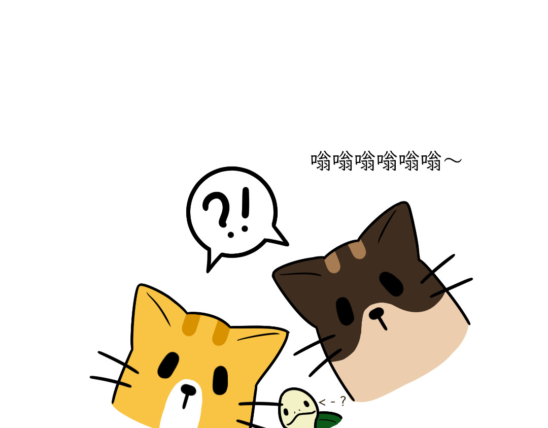 吐司猫咪POUNDCAT 多猫家庭的日常 第10页