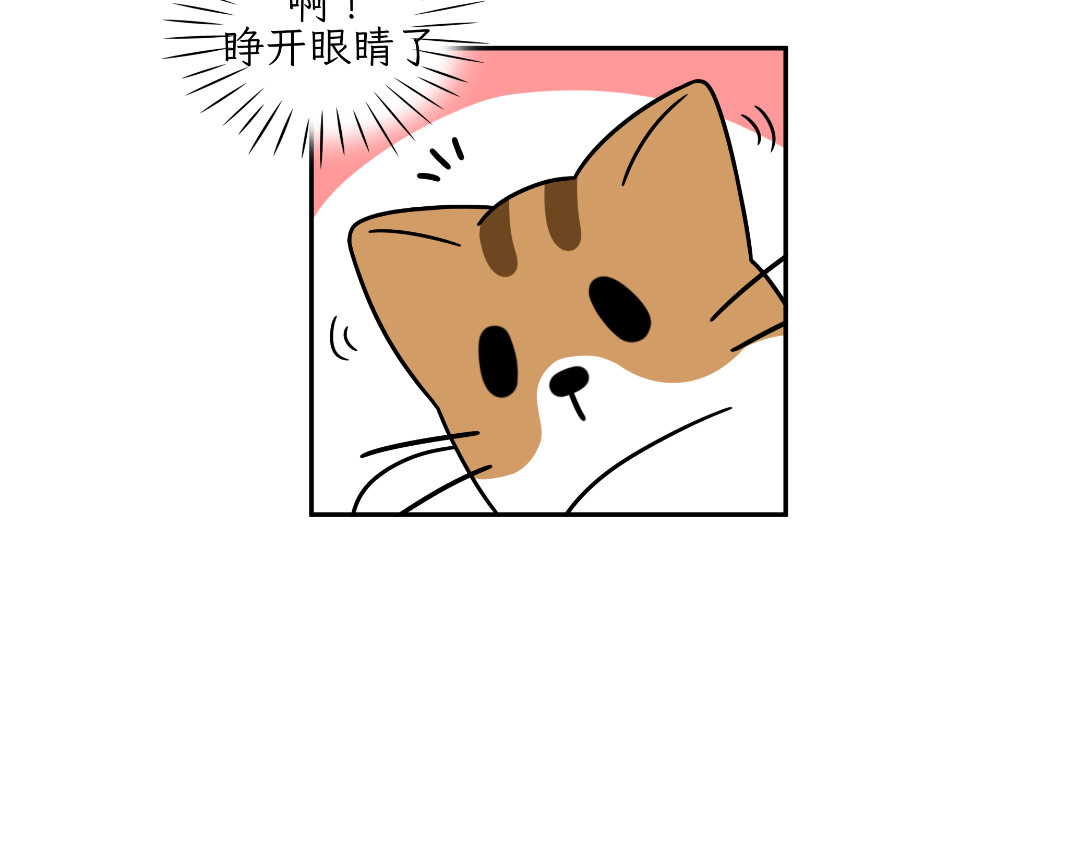 吐司猫咪POUNDCAT 相爱相杀 第27页