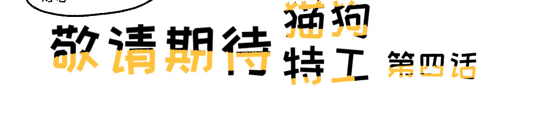 猫狗特工 第三话 赴约 第6页