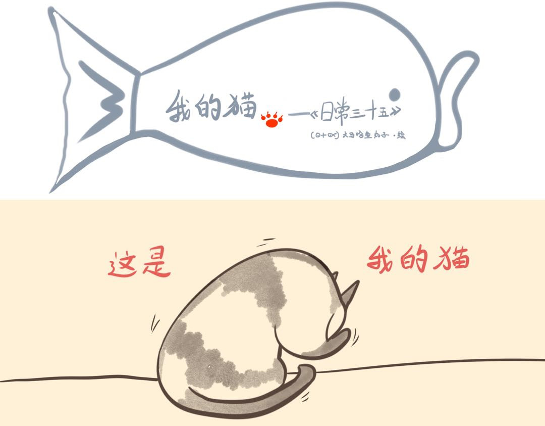 《大马哈鱼丸子的日常》 《大马哈鱼丸子的日常》六 第5页