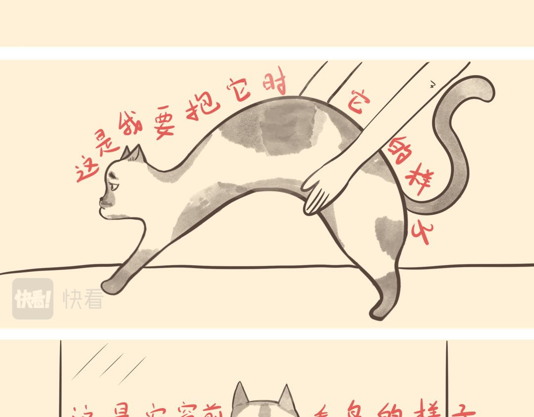 《大马哈鱼丸子的日常》 《大马哈鱼丸子的日常》六 第6页