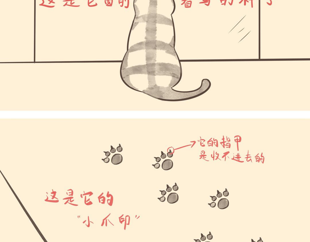 《大马哈鱼丸子的日常》 《大马哈鱼丸子的日常》六 第7页