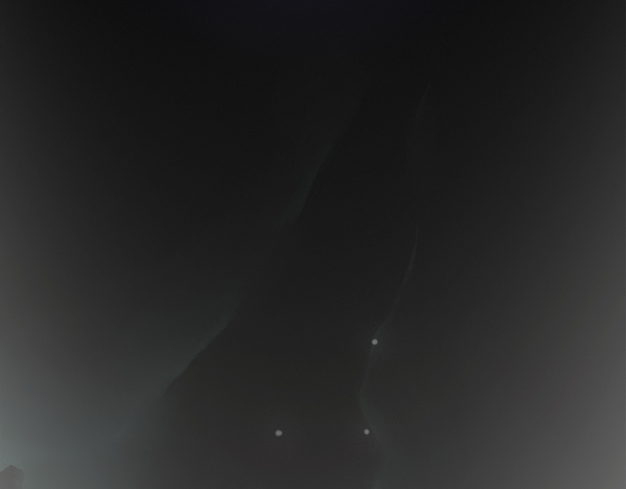 五只猫 第6页