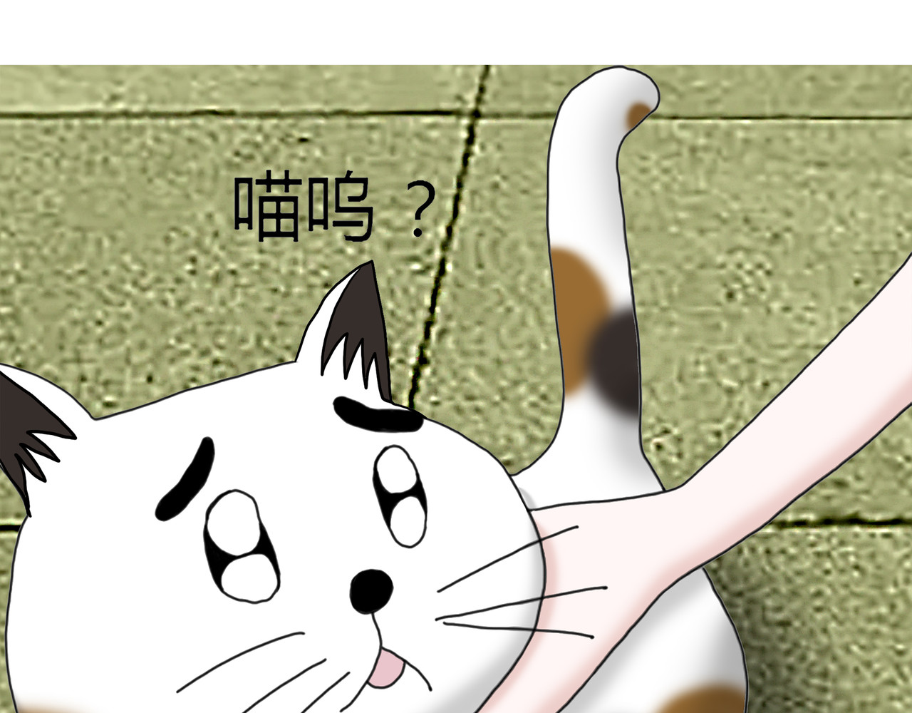 爱上不正常的女孩 002 第54页