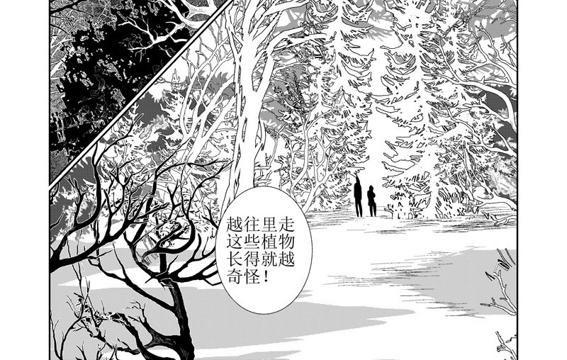 绿鬼 山洞 第12页