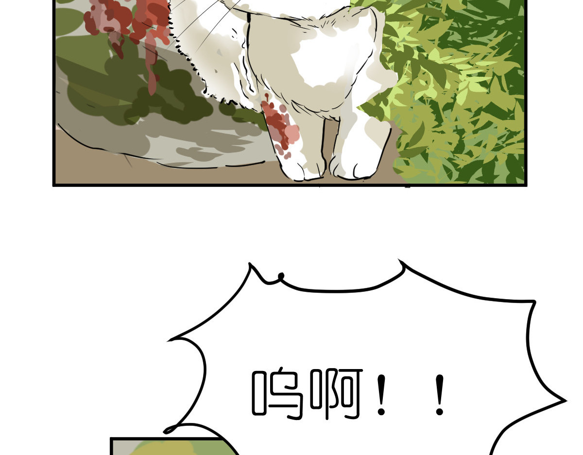红孩儿·圣婴归来 一念动心起，万般皆执念 第95页