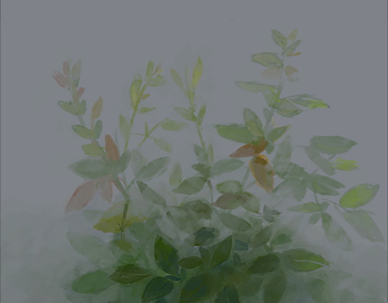 怪鸦乱 三话 秘境（一） 第5页