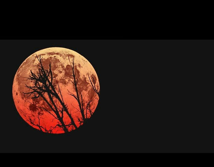 幻弥 第五回 第64页