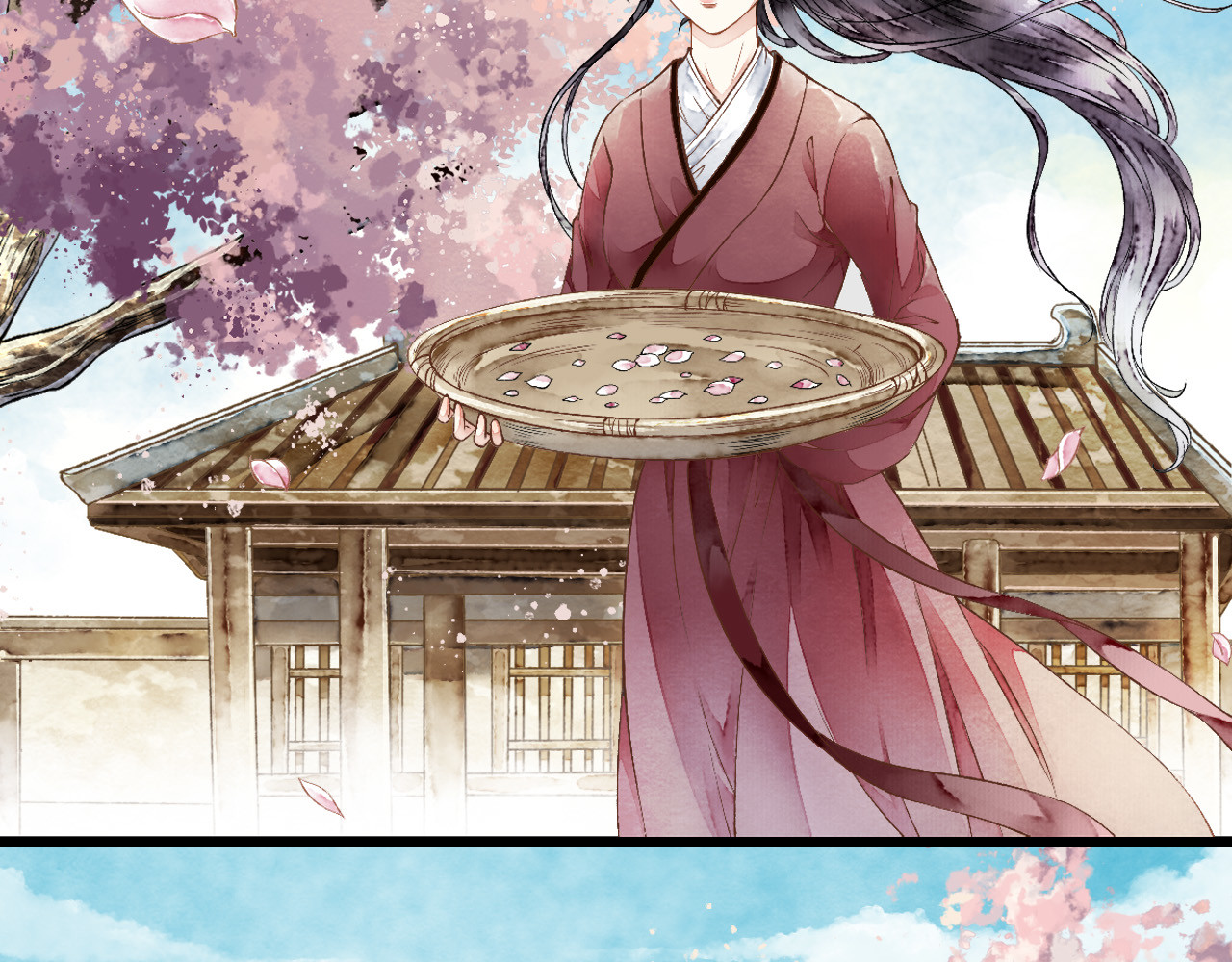 怨歌录 她就是战神转世！ 第13页