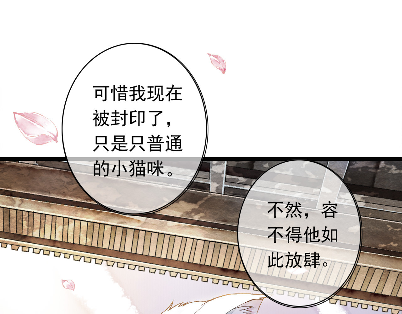 怨歌录 她就是战神转世！ 第23页