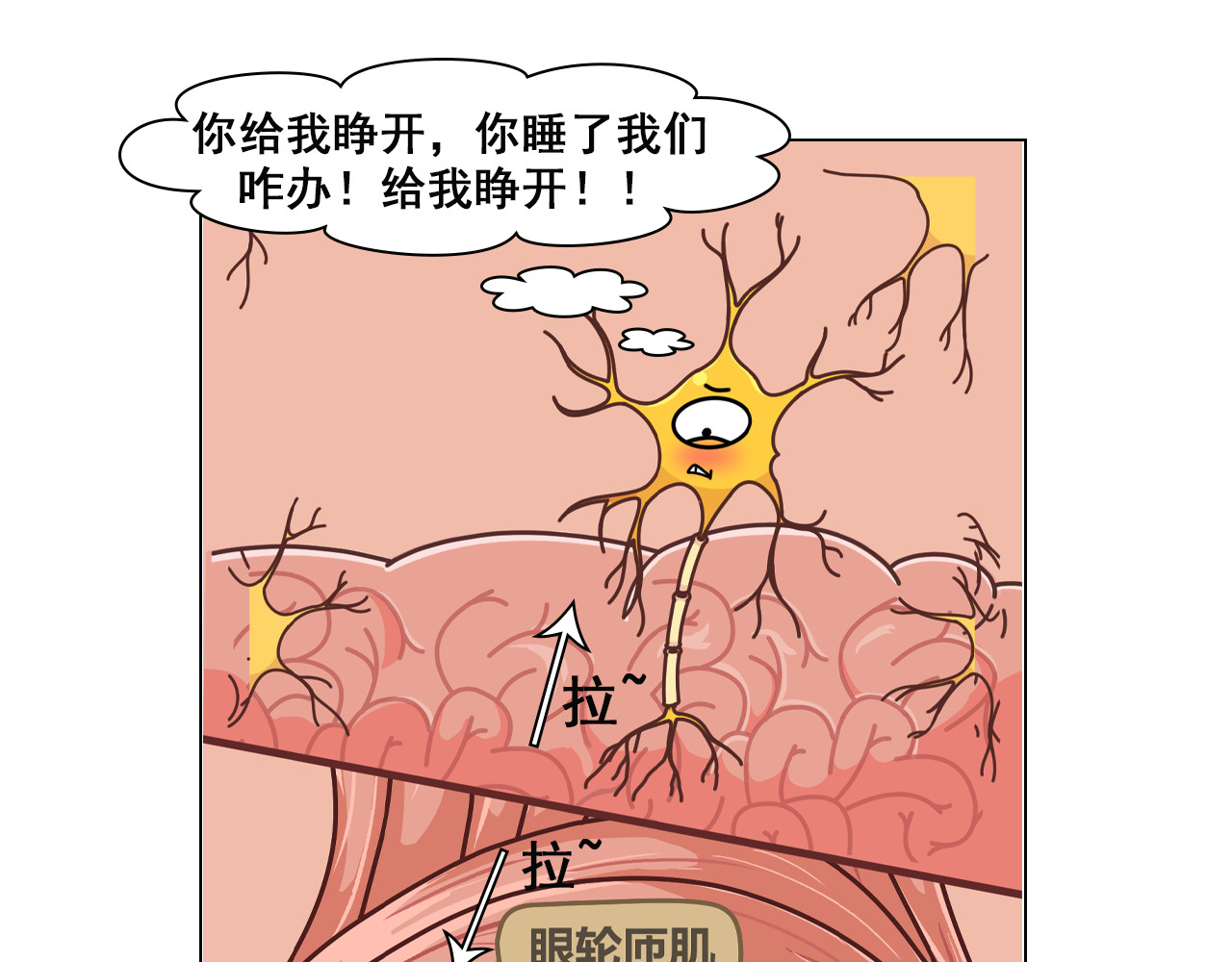 达神宇宙—你不知道的小知识 左眼跳财，右眼跳：呸，迷信！ 第15页