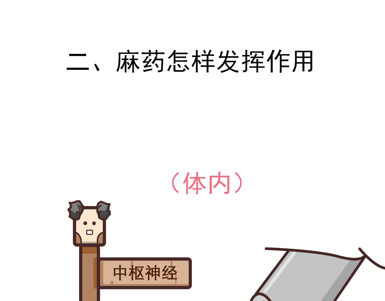 达神宇宙—你不知道的小知识 一针麻药下去，身体会发生什么？ 第12页