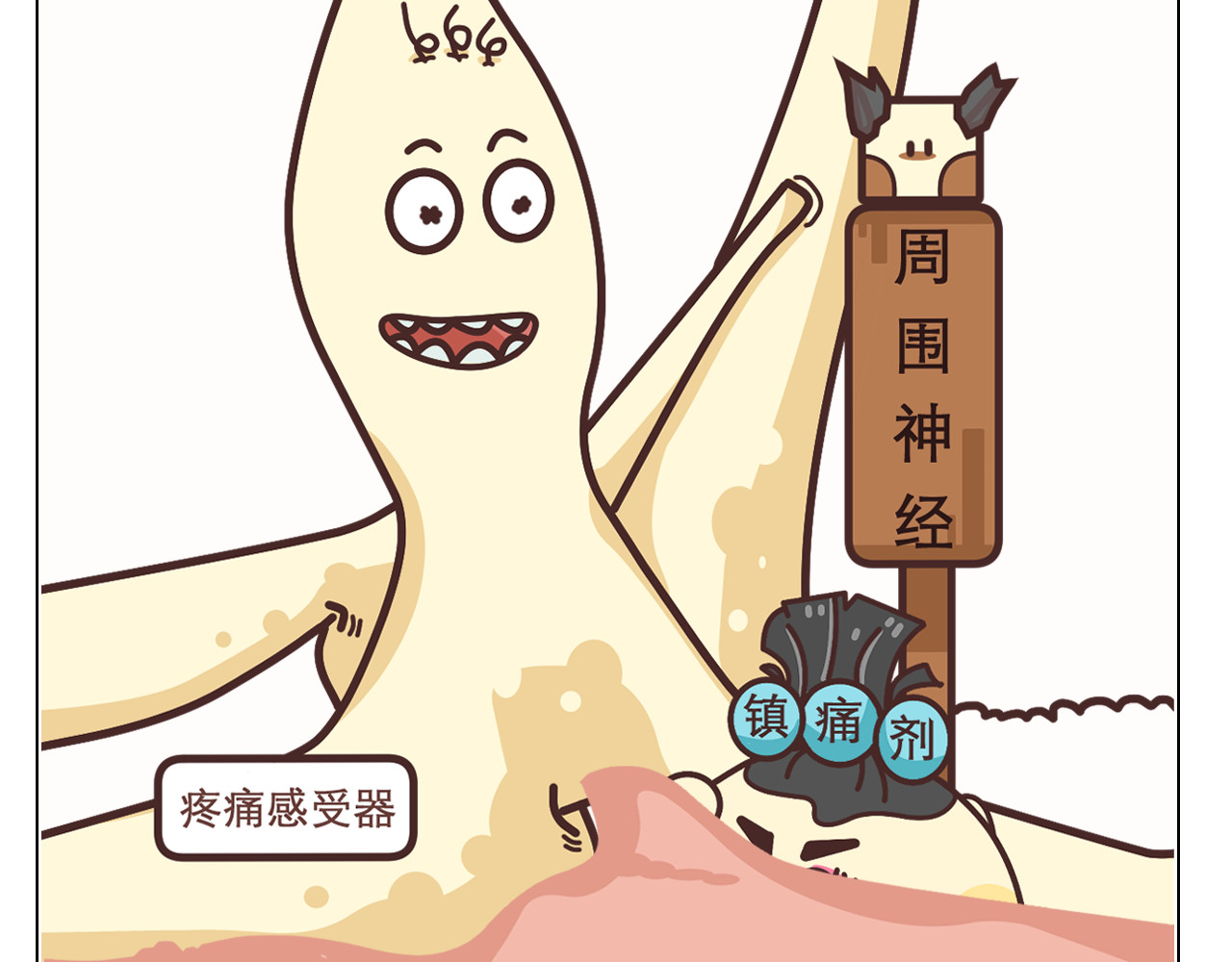 达神宇宙—你不知道的小知识 一针麻药下去，身体会发生什么？ 第21页