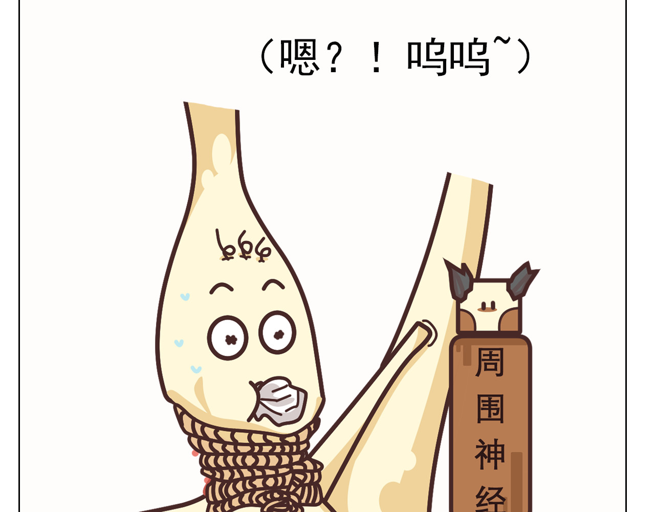达神宇宙—你不知道的小知识 一针麻药下去，身体会发生什么？ 第28页