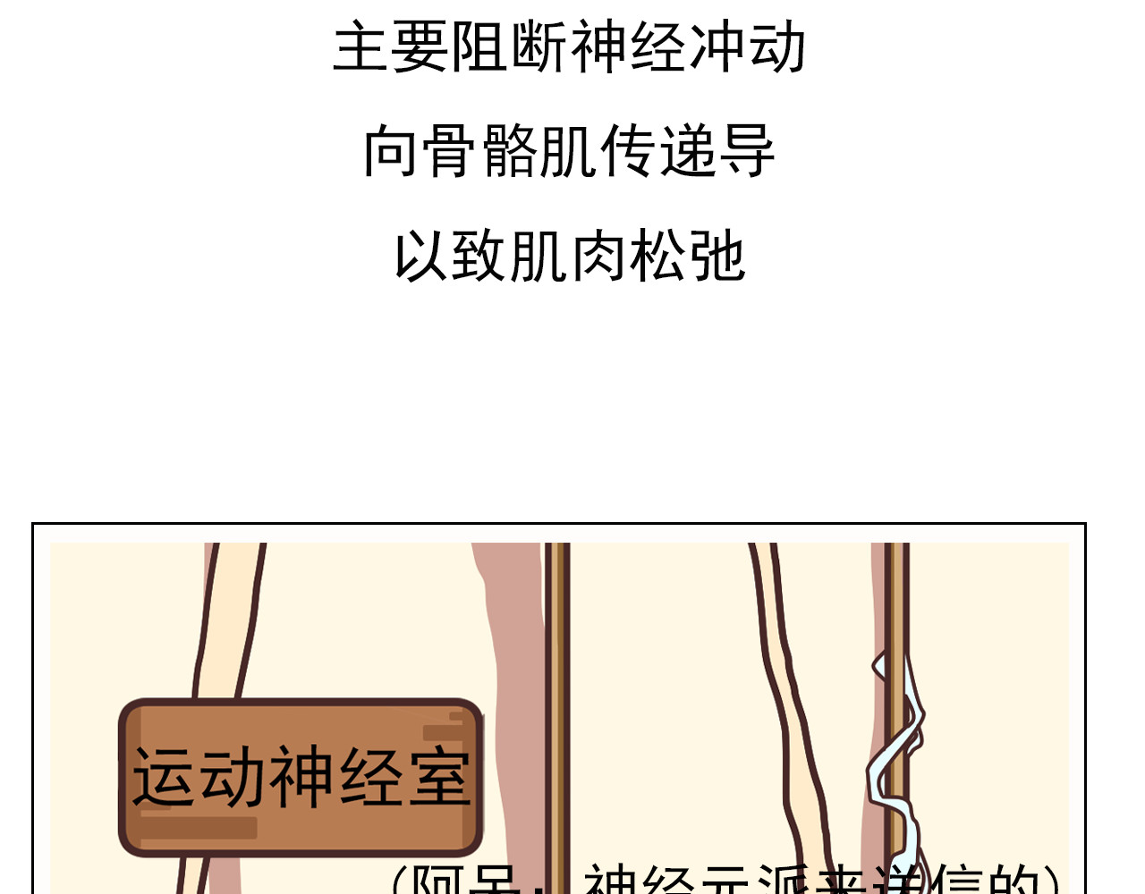 达神宇宙—你不知道的小知识 一针麻药下去，身体会发生什么？ 第31页