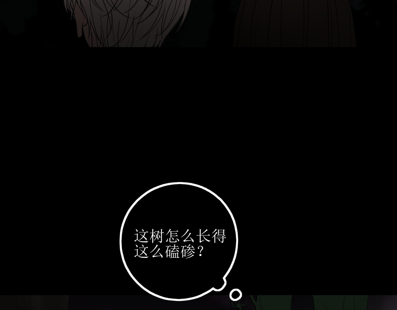 爱的战利品 前篇（3） 第41页