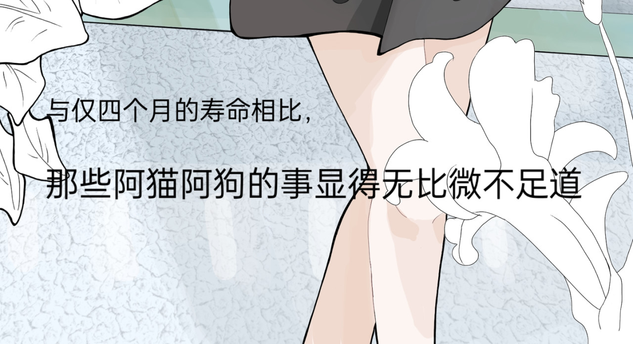 爱流与千古 闫冷–1魂穿者？ 第29页