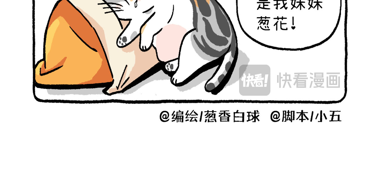 葱花香菜不加辣 第5页
