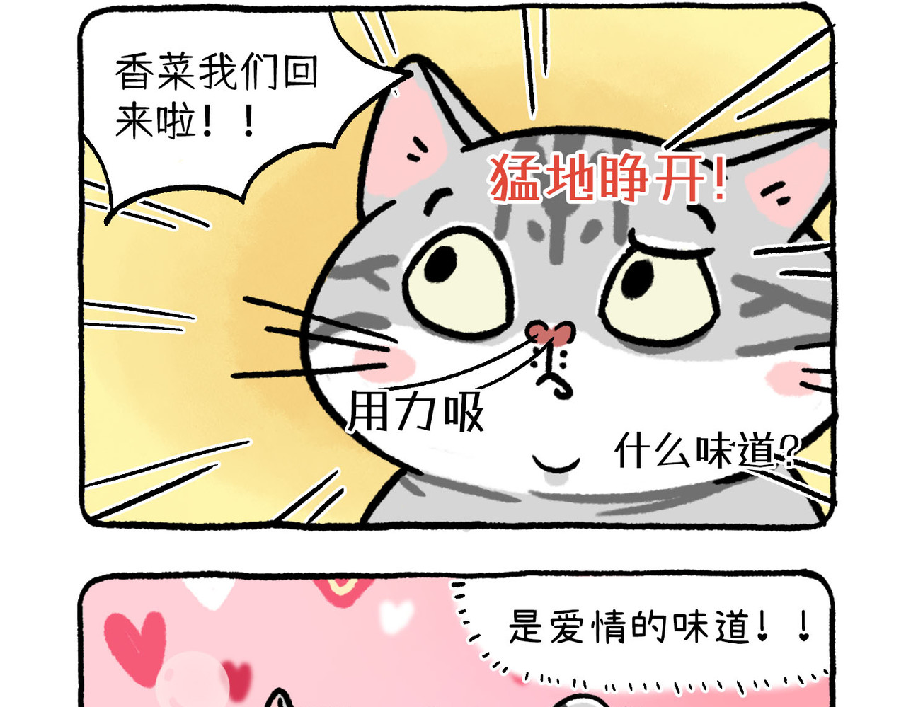 葱花香菜不加辣 第2话  爱情幻想（下） 第3页