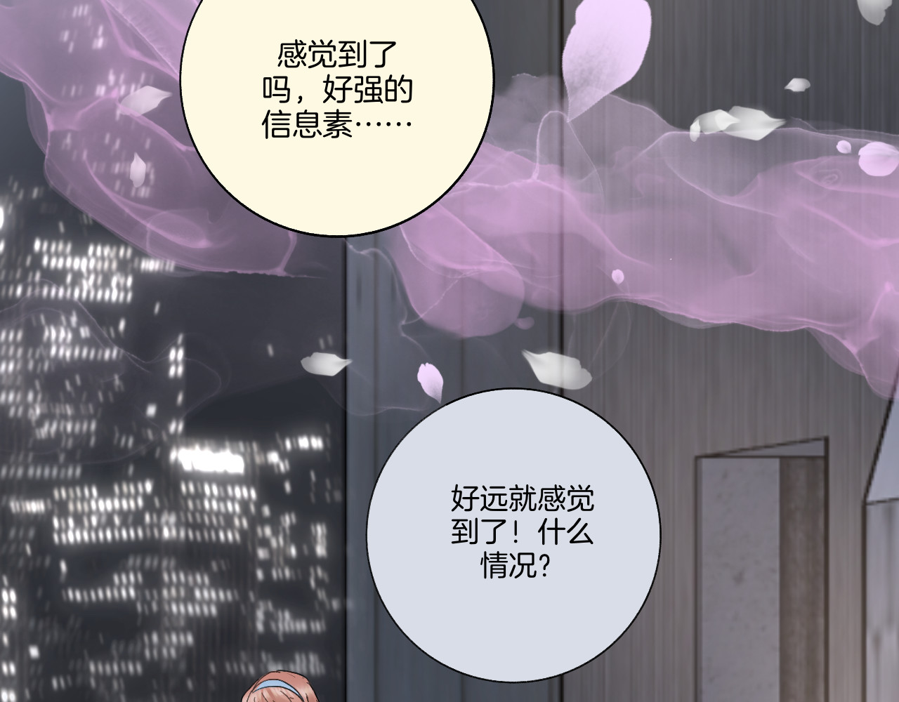 0.01% 3晕倒 第75页