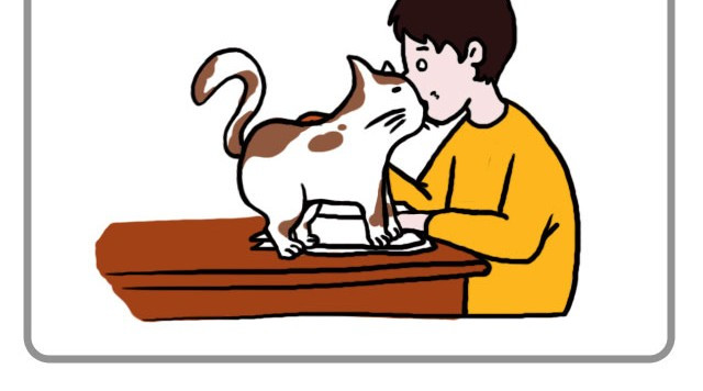 嗨，我喜欢你 无处不在的小温暖 第4页