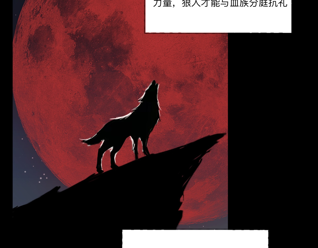 血与狼 第五话 第49页