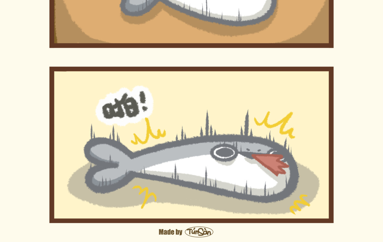 豚桑和他的朋友们 【豚桑和他的朋友们】漫画 第五话 第6页