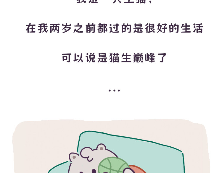 拽猫的北京生活 第2页