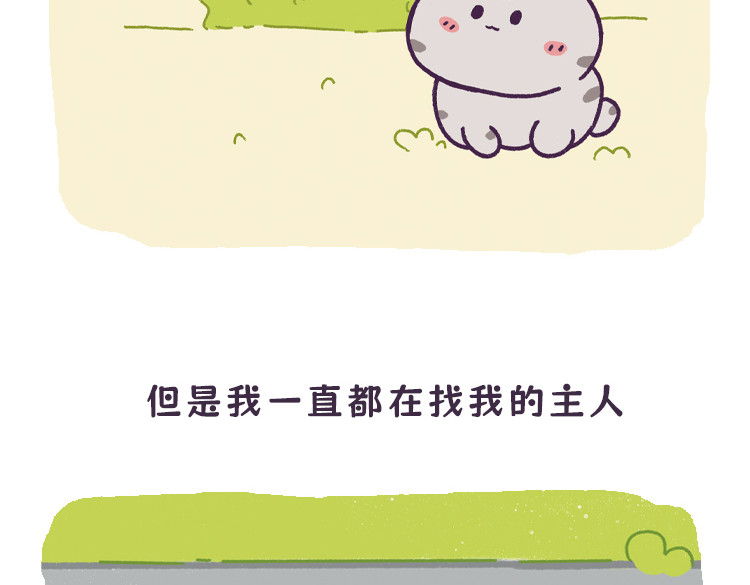 拽猫的北京生活 拽猫流浪记 第11页
