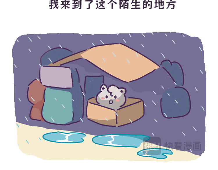 拽猫的北京生活 第7页