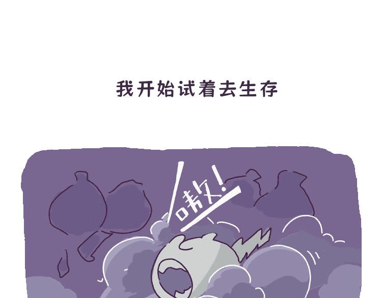 拽猫的北京生活 拽猫流浪记 第9页