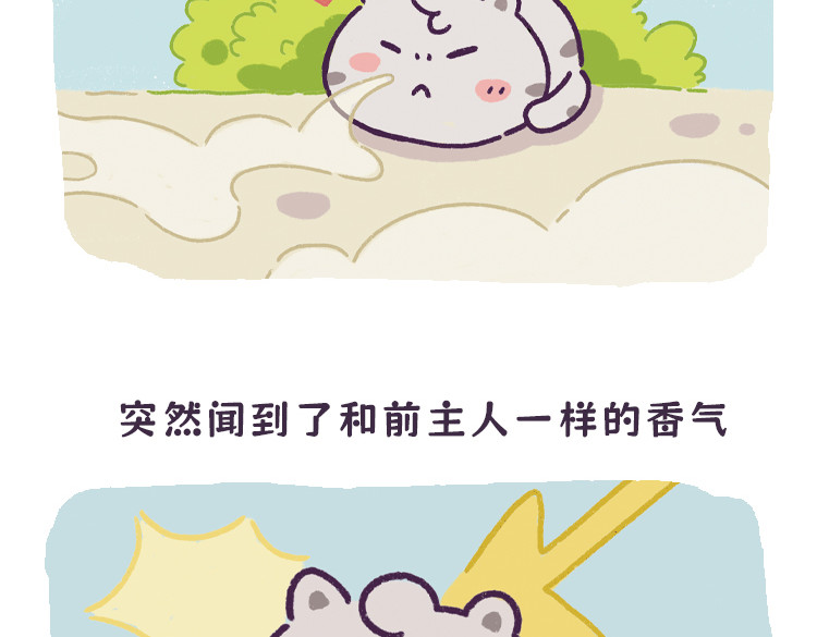 拽猫的北京生活 闻香识男人 第3页